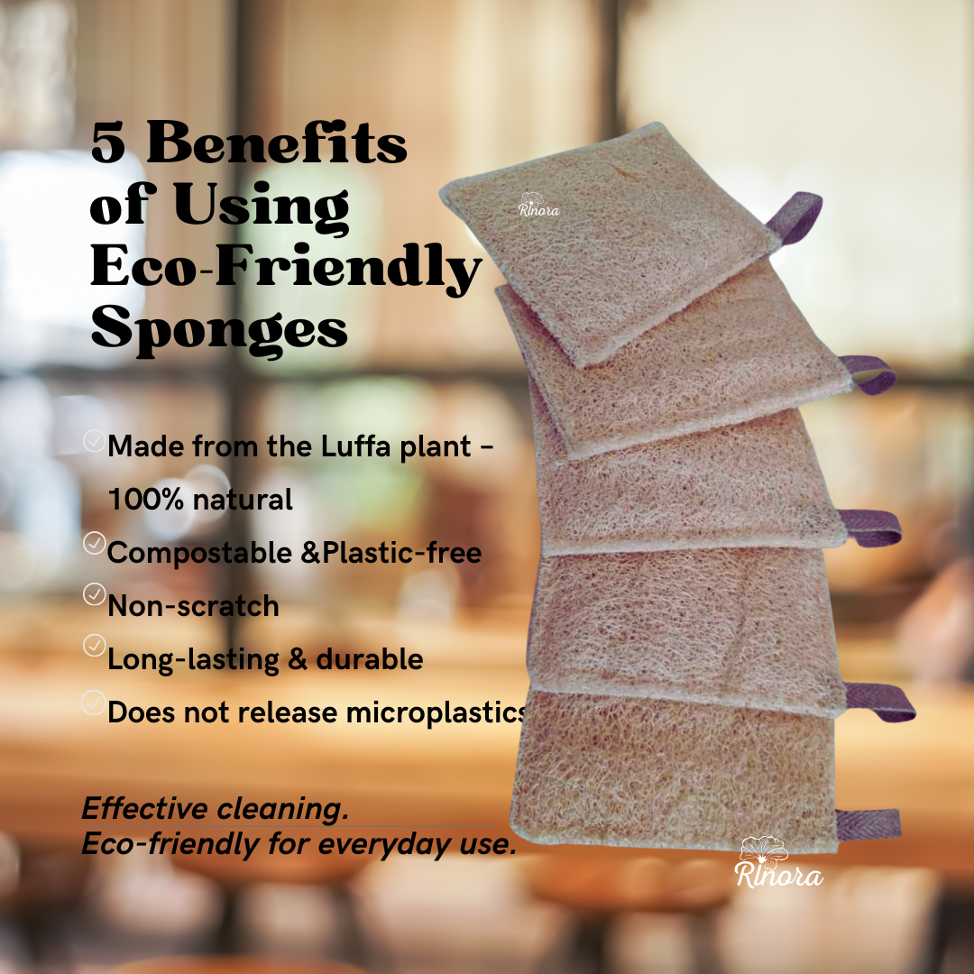 Pako Vjetore – 12 Sfungjerë Natyralë për Enët (Furnizim 12-Mujor)