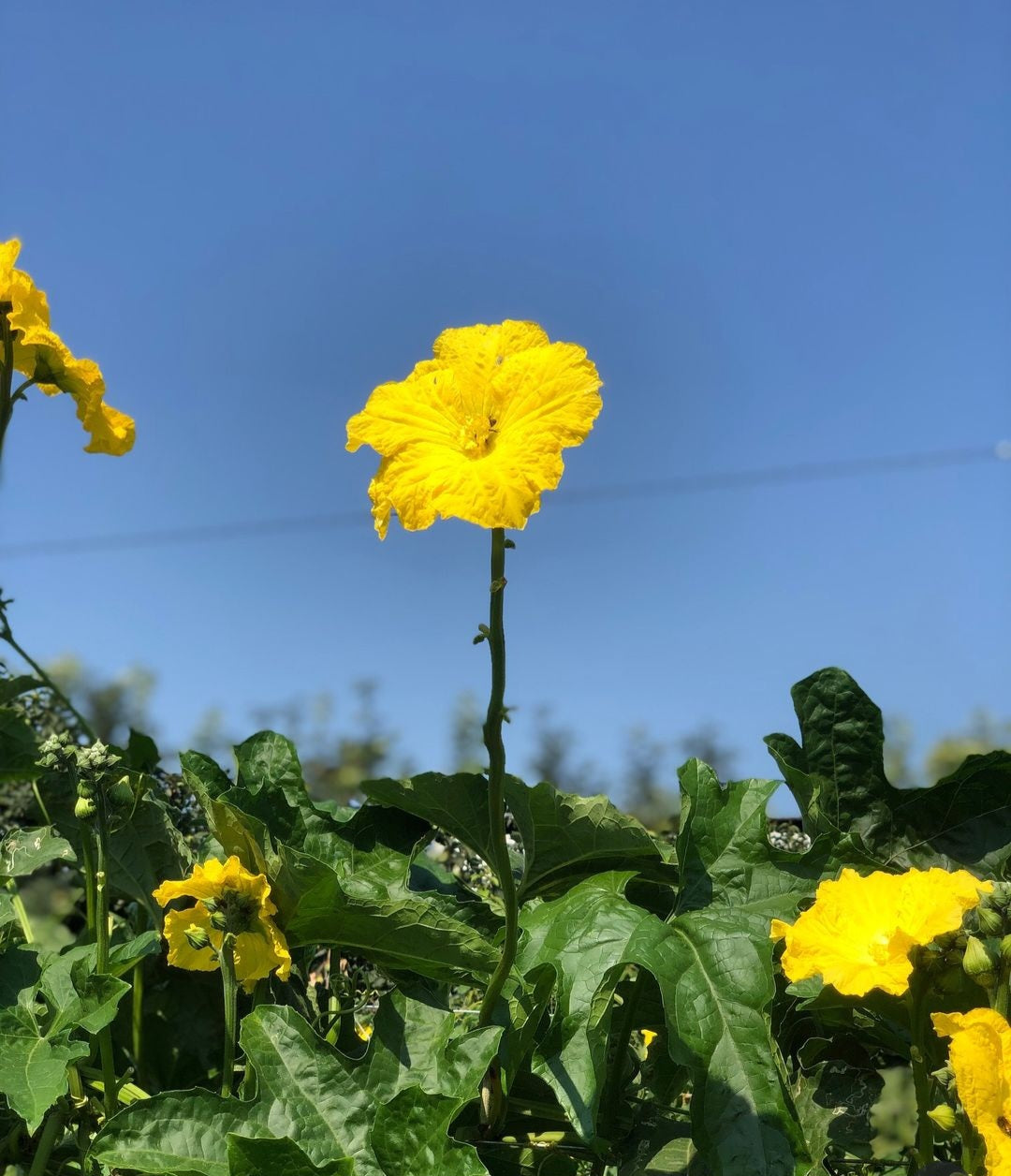 Rinora Handmade- Lufta jonë për një botë më të pastër dhe kujdes më të mirë