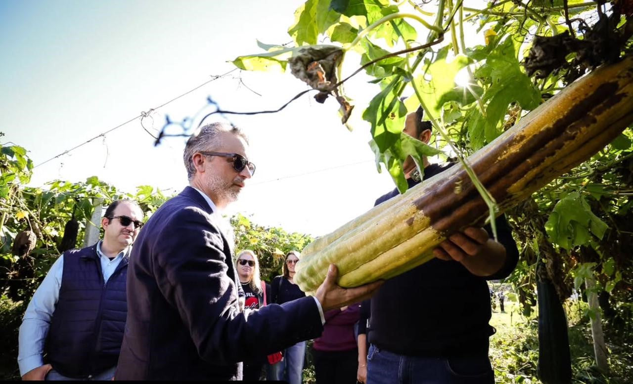 🧽Rinora-Building Europe’s first closed-cycle loofah sponge farm for eco-friendly global products.🌿